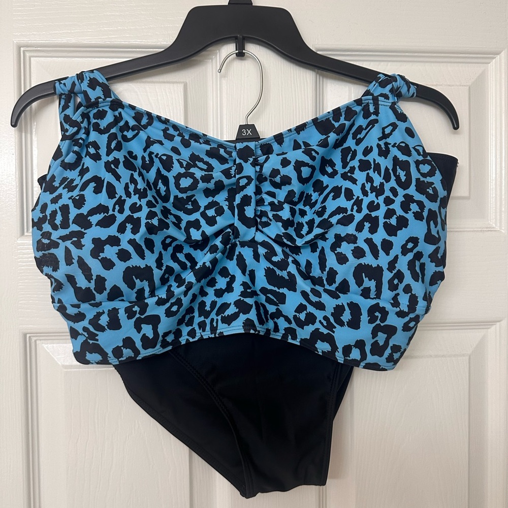 Women’s Plus size 4X 2 Piece Swimsuit